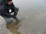   <img src="http://www.fishinginfo.ru//images/old_smiles/icon_smile.gif" border="0" alt="Smile" title="Smile" />