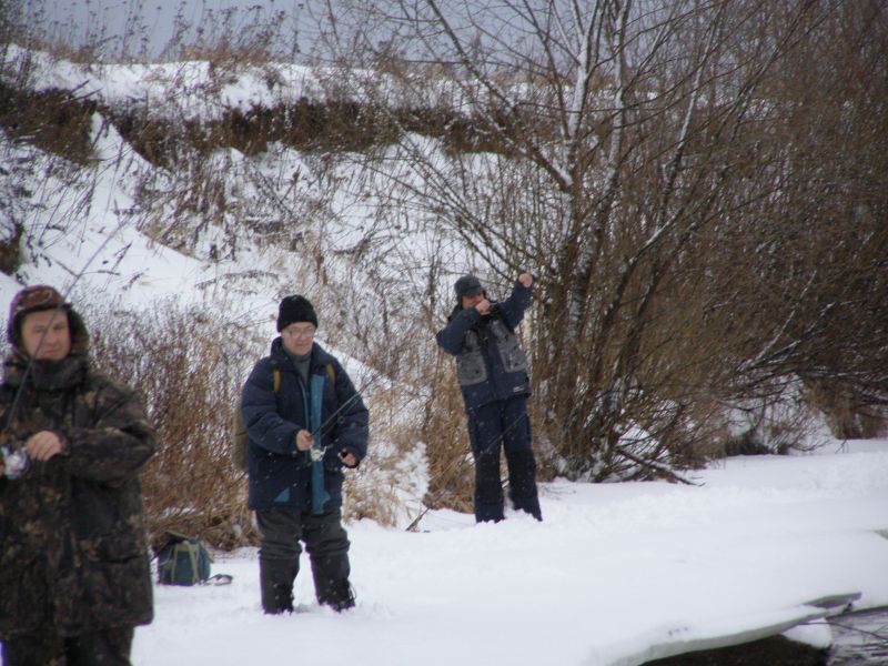 ��� �������