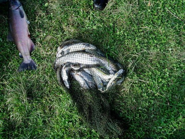 �������� ������ (((