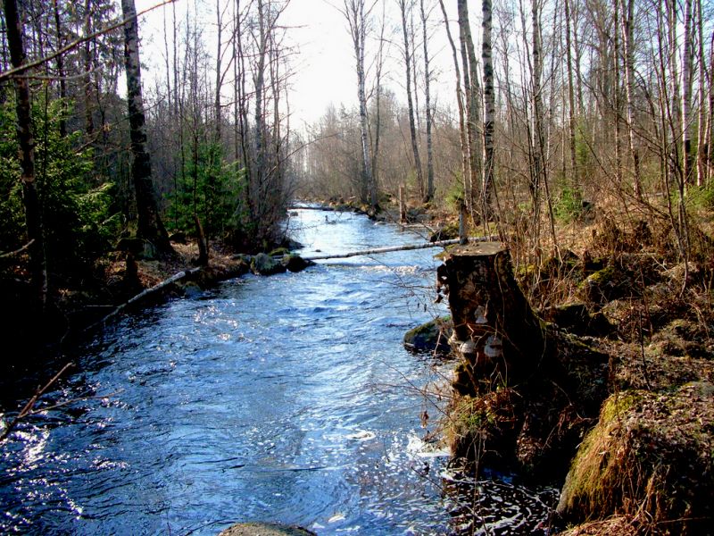 ��� ��������