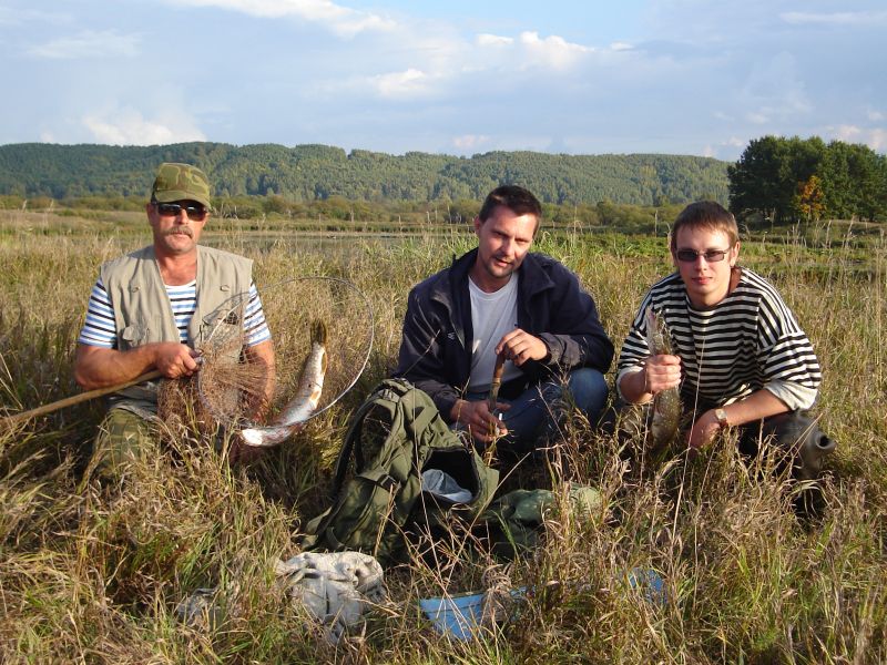 2007 