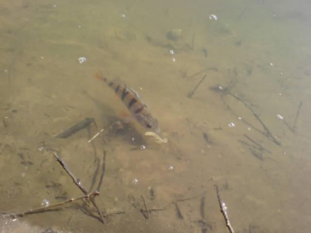 ����� ������� � �����...