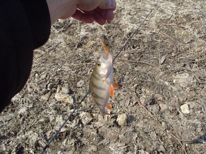 ������ � ������ �� ����