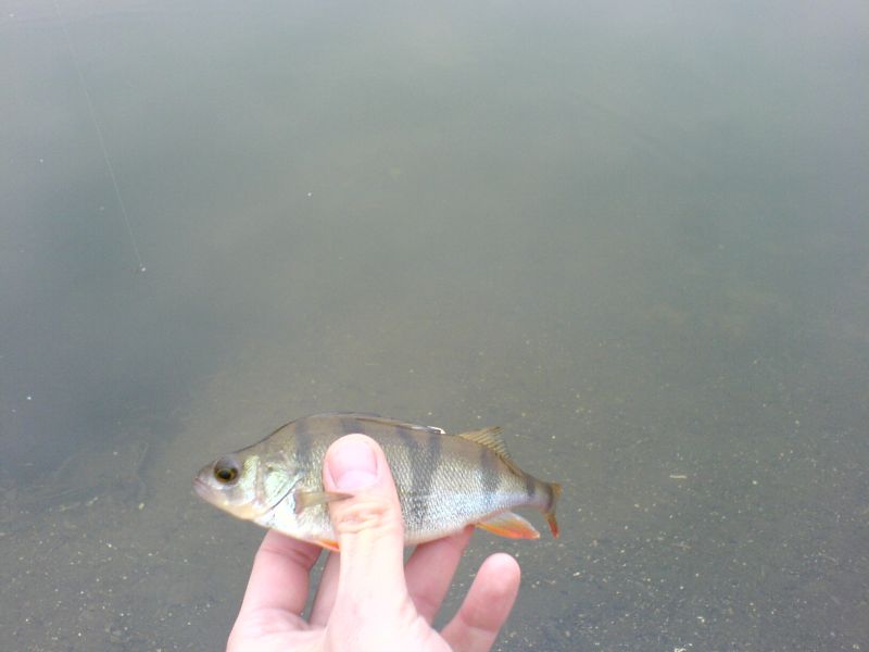 ��������� ������ �� - ���������