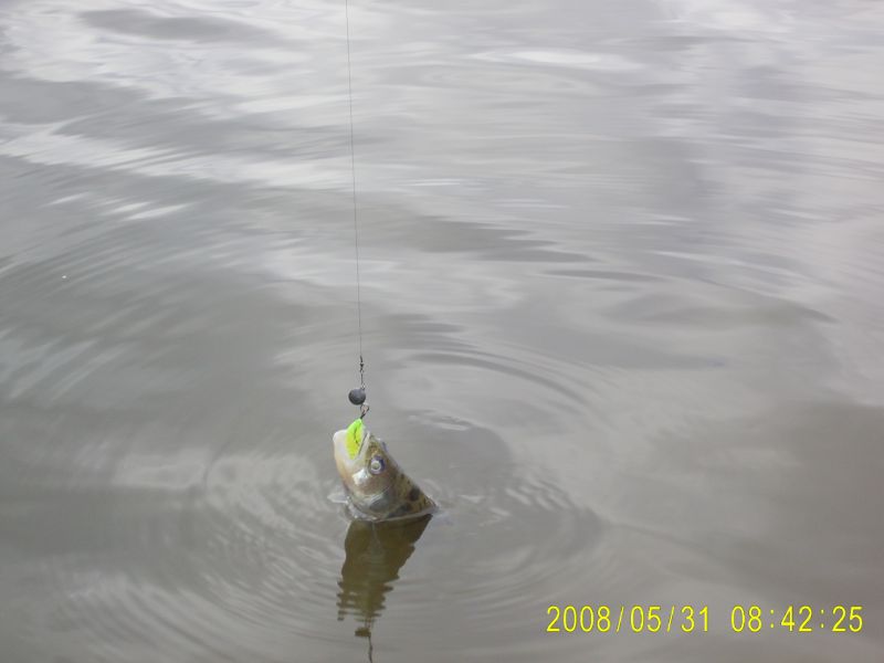 �� ������� ��� � ��������