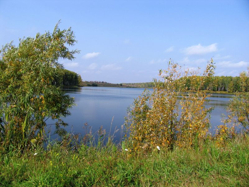 ������� ����� �� ���� ���