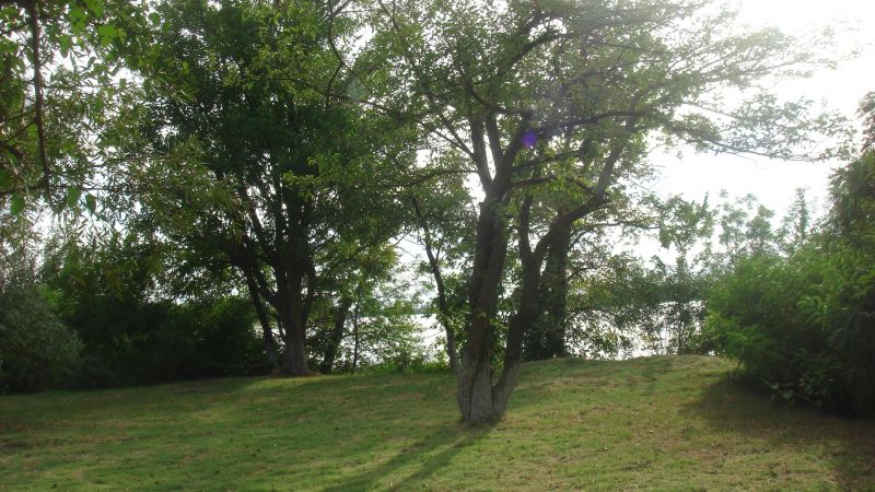 ���� ������ "������� ������"