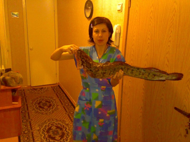 ���� � �������