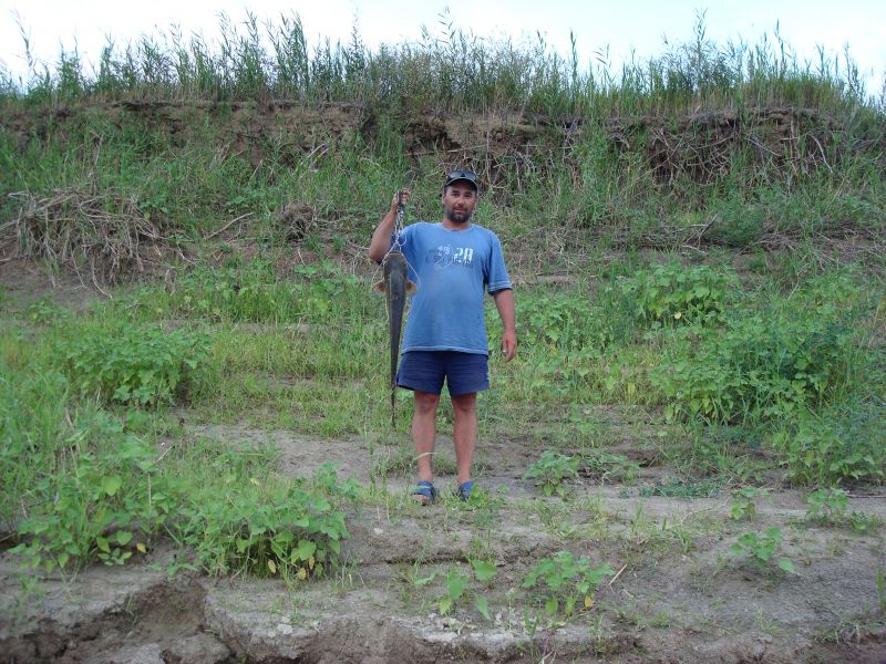 ����� 5��