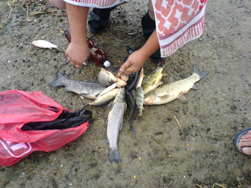 �������� 31,08,08 �5