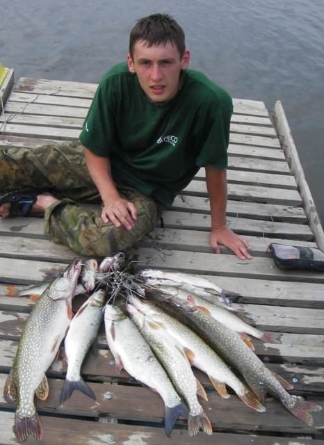 ������ 2008 �����3