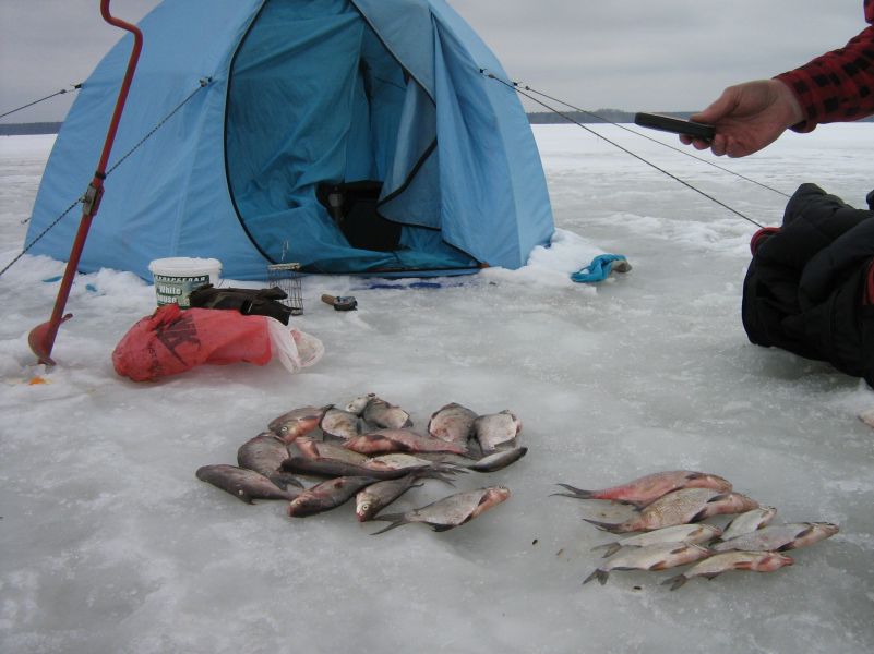 ��������� ����!