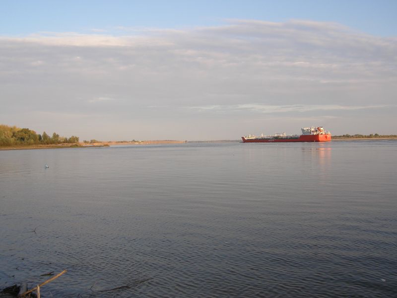 - 2008:   ...