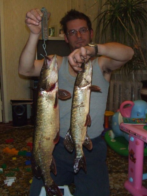 ������ �������