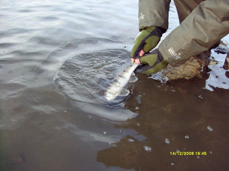 ���������...