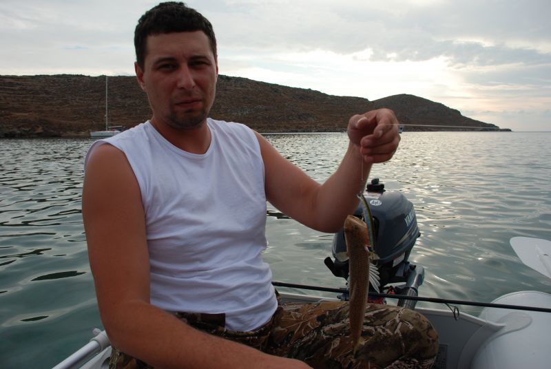 ������ 2