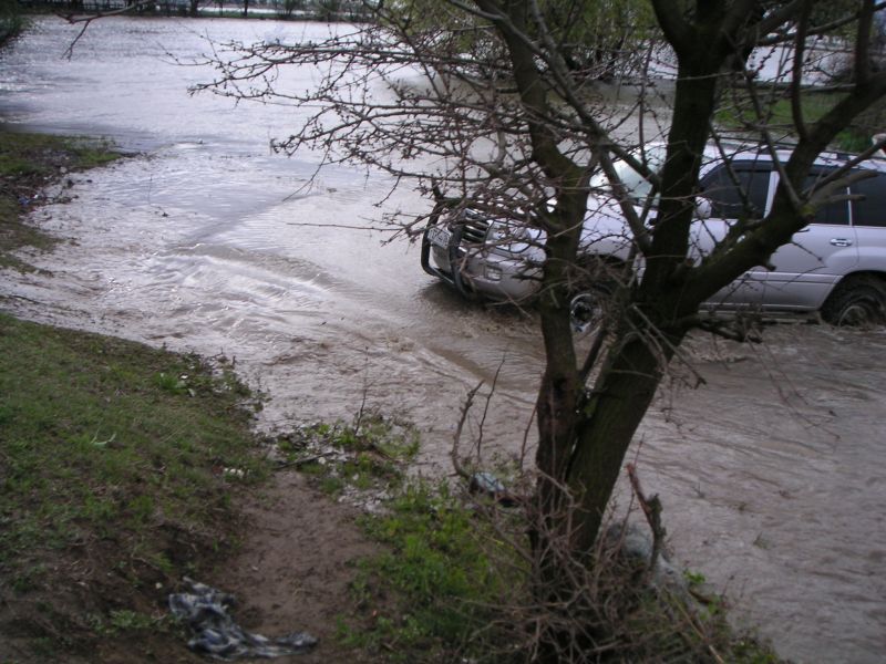 PICT0264.JPG
