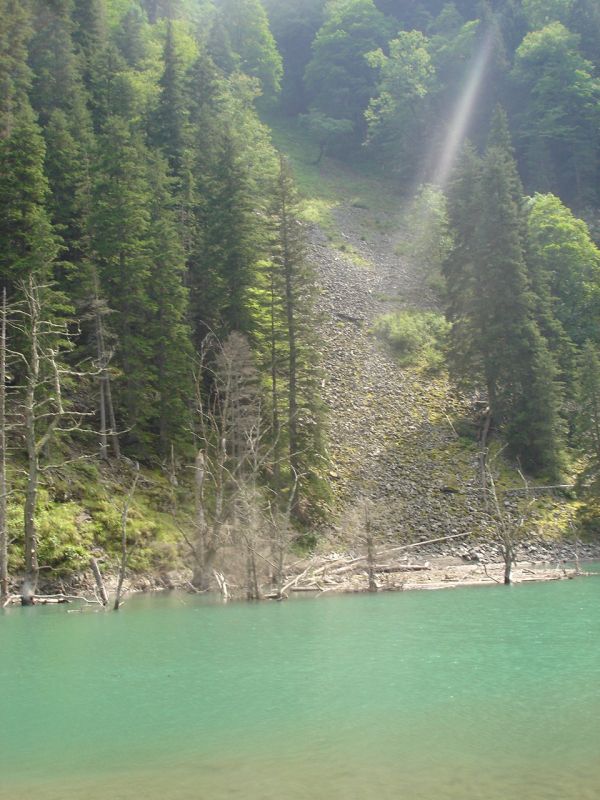 DSC01854.JPG