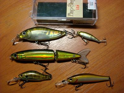 zipbaits2