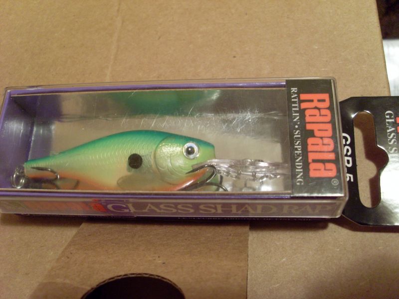 Rapala Class Shad Rap 5