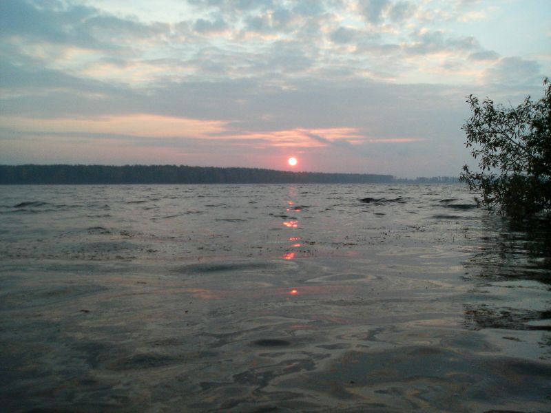 256.jpg