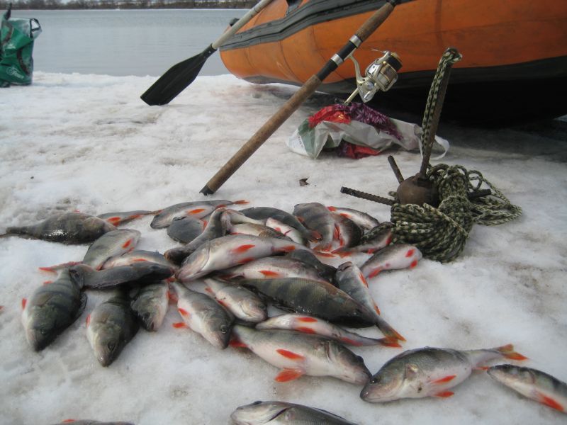 http://www.fishinginfo.ru/img/db/67/67497.jpg