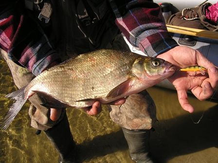 ��� �� ������!