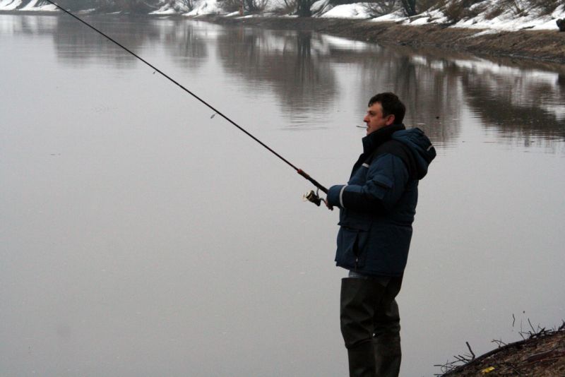 �����,�� �� Haris