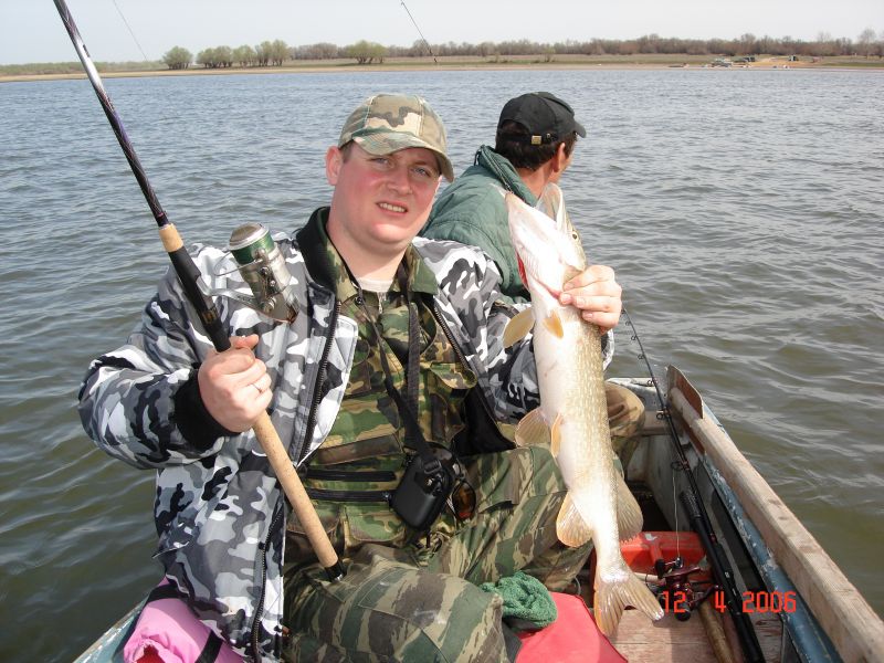 ������ ����� ���