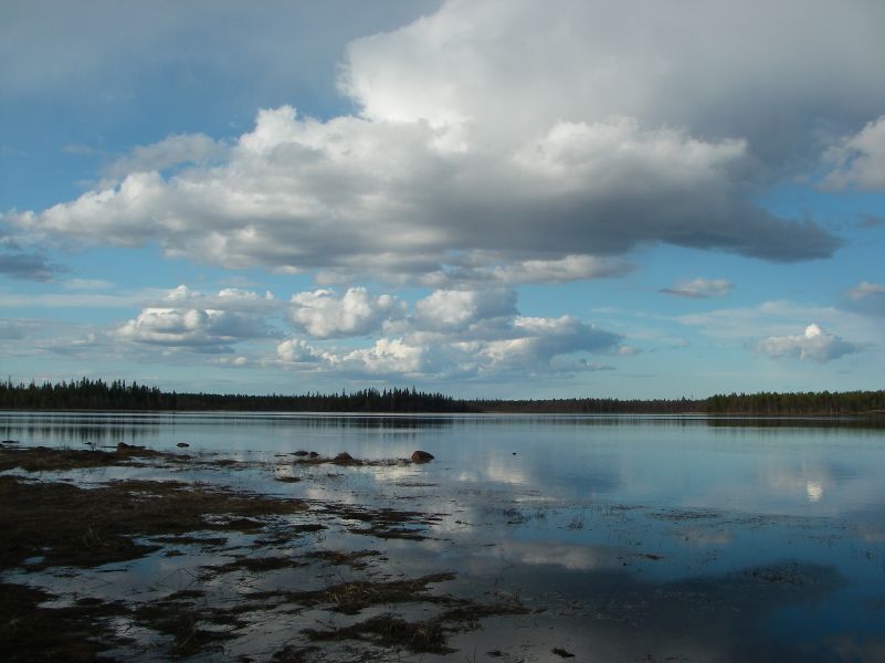 ����� ����.����� 2009.