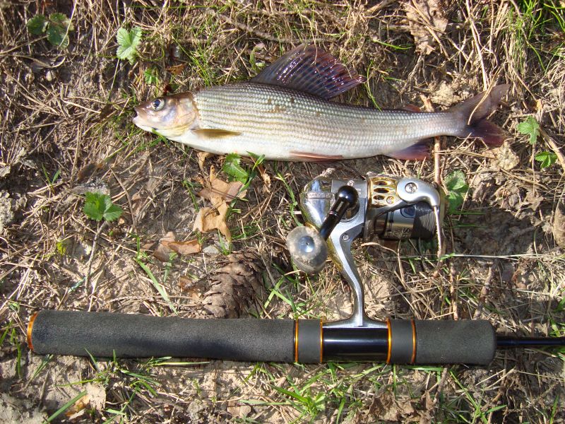 4) 18.05.09  Daiwa Presso Minnow 4f