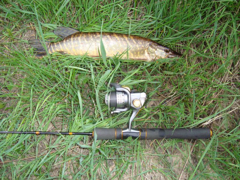 25) 26.05.09  Daiwa Presso Minnow 4f