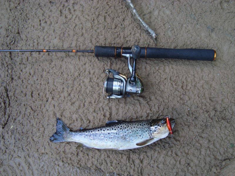 39) 16.06.09 �� Daiwa Presso Minnow 4f