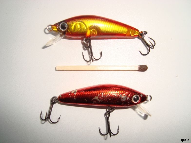 Daiwa Presso Minnow 4f.jpg