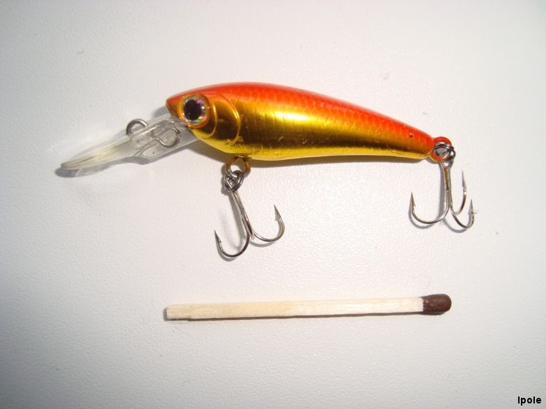 Daiwa S.C.Shad SP 4 cm.jpg