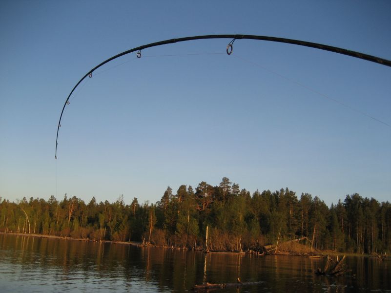 ���������, ��� �� ���?