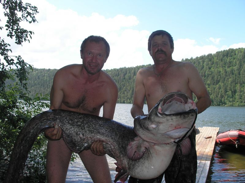 http://www.fishinginfo.ru/img/db/73/73861.jpg