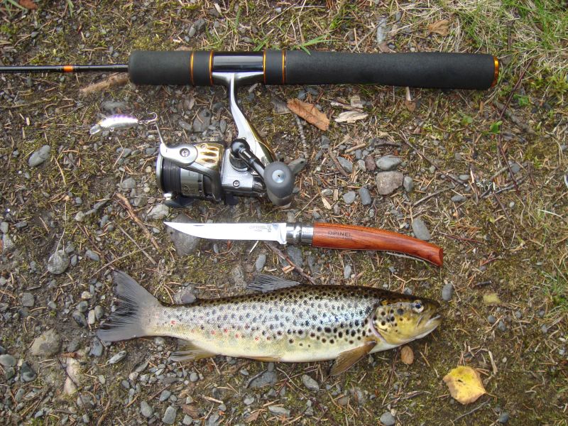 101) 28.07.09 ,  Yo-Zuri L-Minnow 33