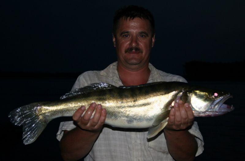 ������ �����