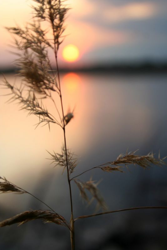 ������ �����