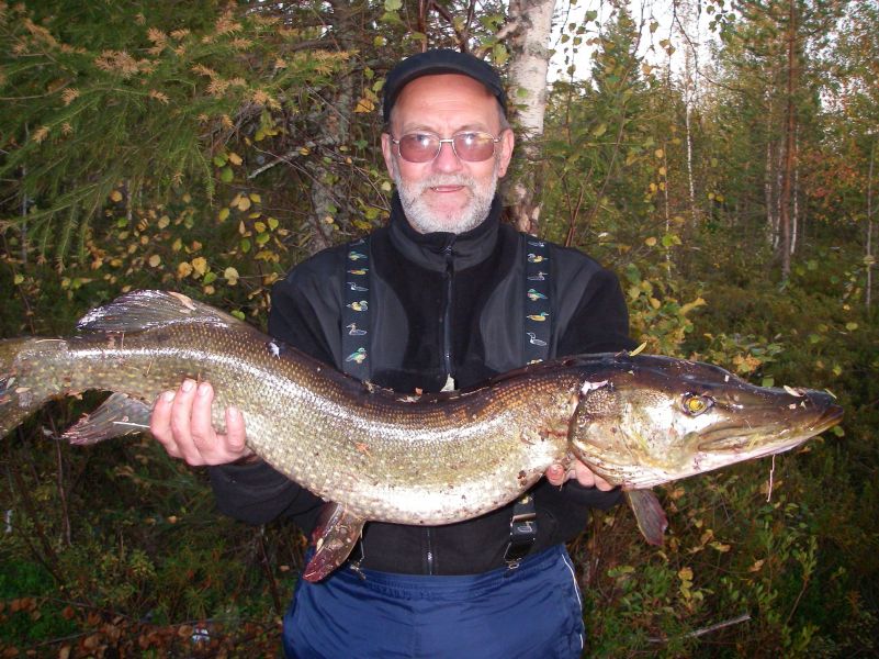 ����� 2009