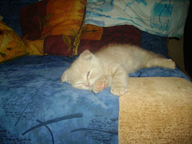 PICT0049.JPG
