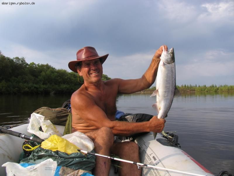 http://www.fishinginfo.ru/img/db/77/77660.jpg