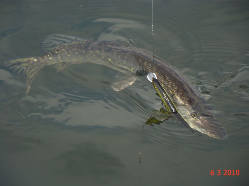 ������� ������ � ������