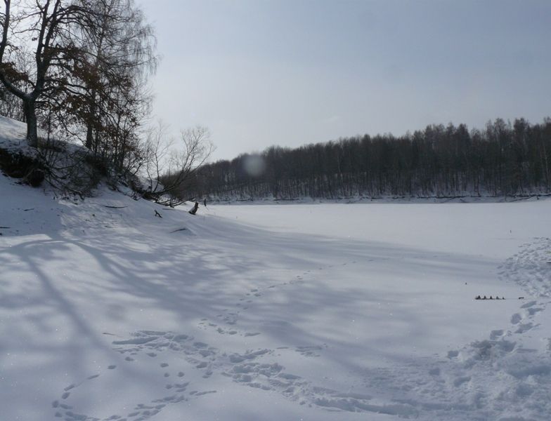 P1200004.JPG