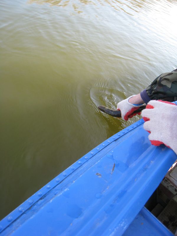 �������!