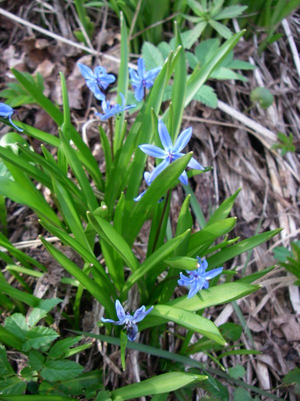 ��������...��� 2010.