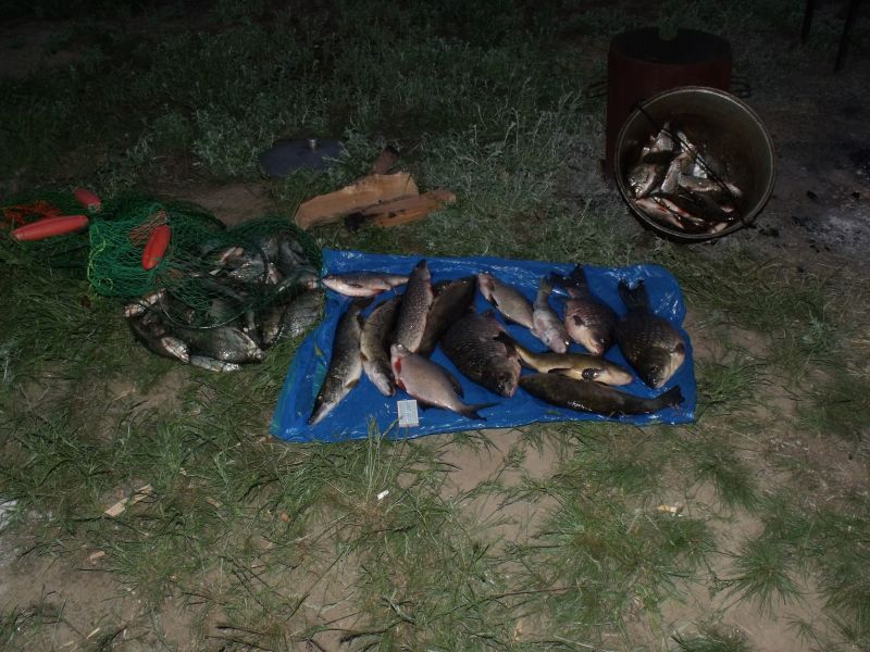 ������� ����