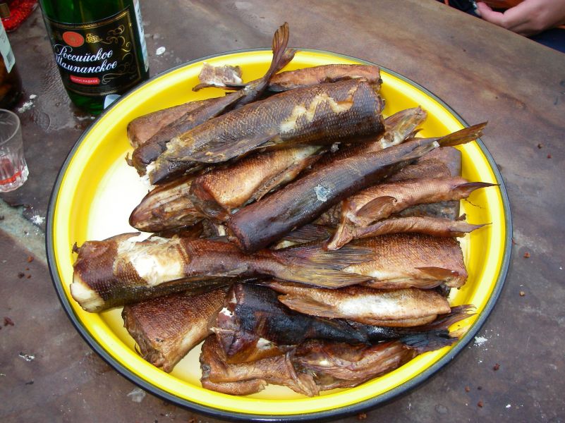 ��������...���� 2010...