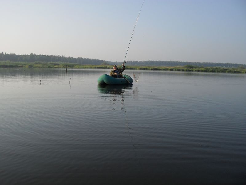SDC10320.JPG